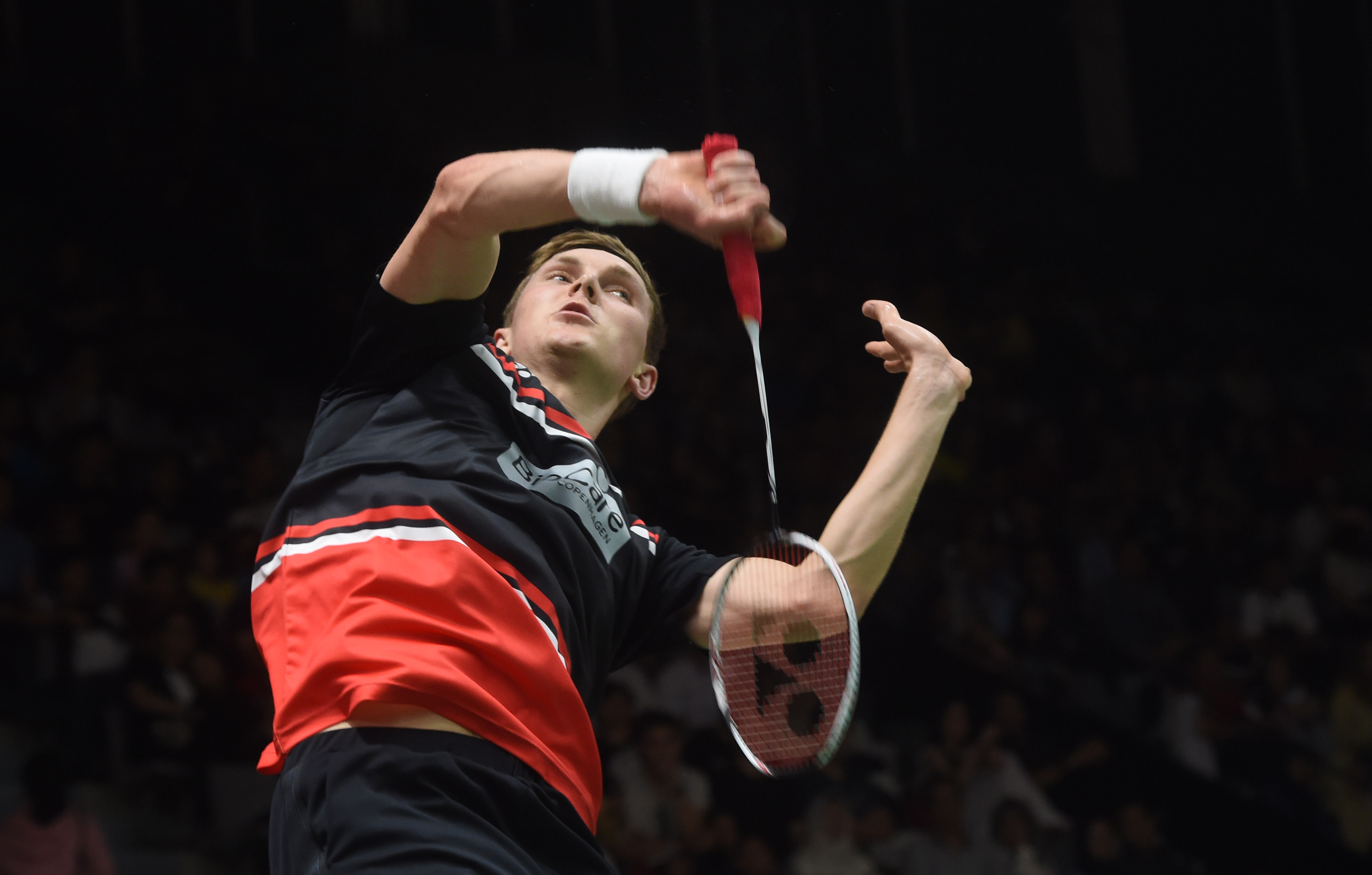 约基奇和他 约基奇和他