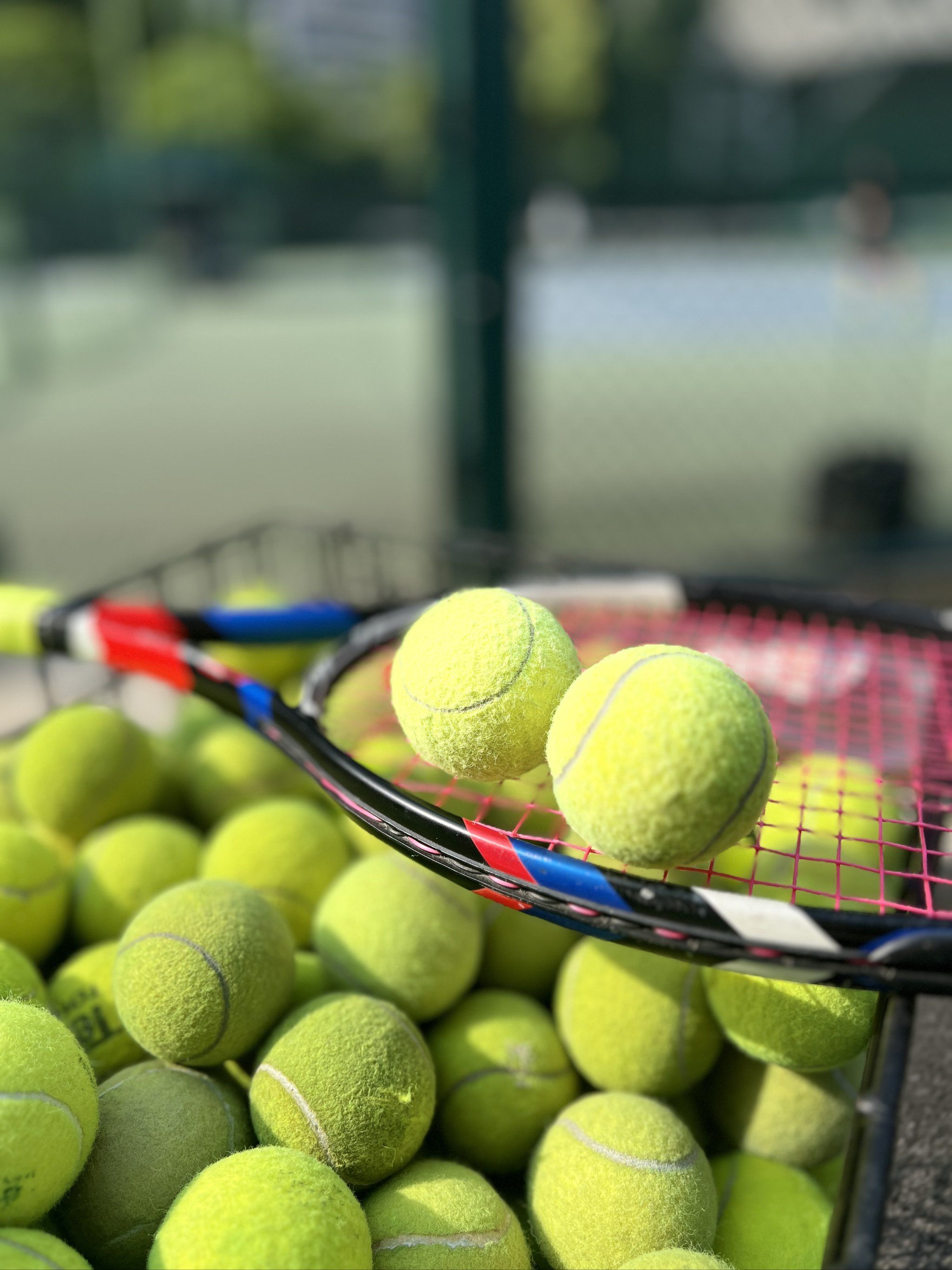 人驚嘆的高 人驚嘆的高