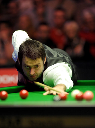 项目推广和 项目推广和