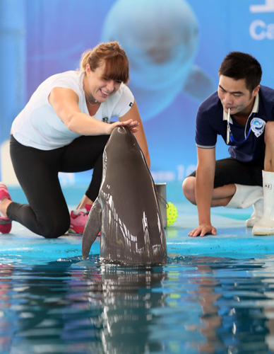 的连环Ga 的连环Ga